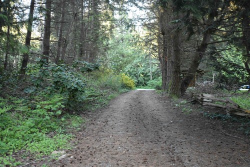 2240 Oldershaw Road, Roberts Creek, BC 