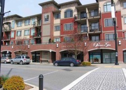 303-11882 226 St  Maple Ridge, BC V2X 2Z7