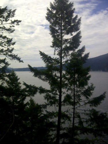 3 Indian Arm, Port Moody, BC 