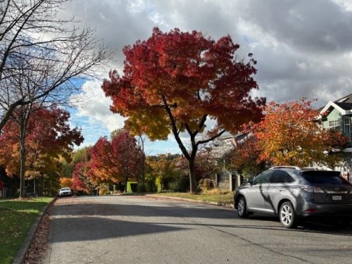 5406 Ross Street, Vancouver, BC 