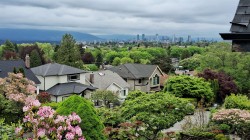 3558 15th Avenue W Vancouver, BC V6R 2Z4