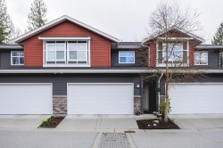 36-11461 236 Street  Maple Ridge, BC V2W 0H6