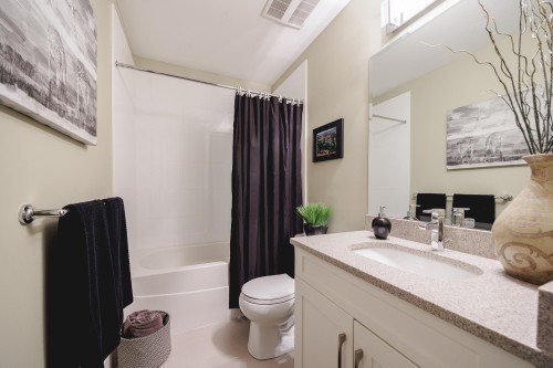 36-11461 236 Street, Maple Ridge, BC 