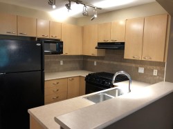 308-2958 Silver Springs Boulevard  Coquitlam, BC V3E 3R9