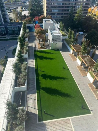 704-555 Sydney Avenue, Coquitlam, BC 