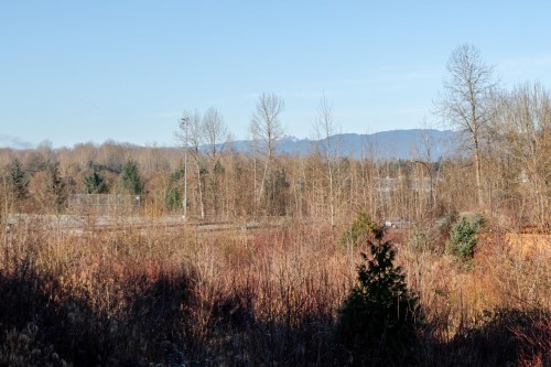 23855 103A, Maple Ridge, BC 