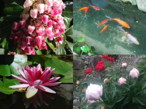 2825 Nash Drive, Coquitlam, BC 