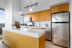 709-2770 Sophia Street  Vancouver, BC V5T 0A4