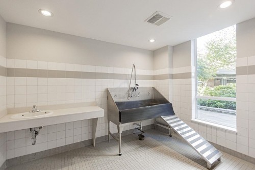 803-3100 Windsor Gate, Coquitlam, BC 