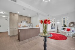 305-6859 Cambie Street  Vancouver, BC V6P 0M4