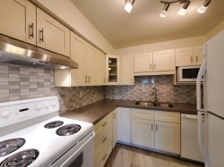 2F-7411 Minoru Boulevard  Richmond, BC V6Y 1Z3