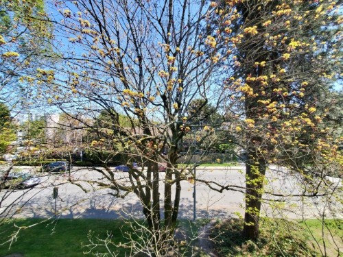 2F-7411 Minoru Boulevard, Richmond, BC 