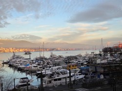 405-535 Nicola Street  Vancouver, BC V6G 3G3