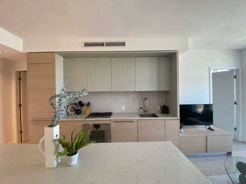 3901-1289 Hornby Street, Vancouver, BC 