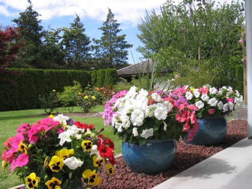 4366 Steveston Highway, Richmond, BC 