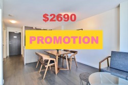 704-1009 Harwood Street  Vancouver, BC V6Z 1Z7