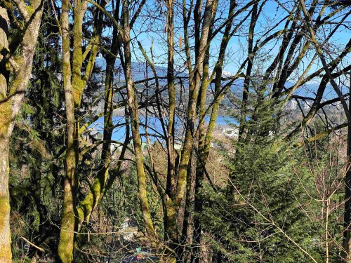 1134 Chateau Place, Port Moody, BC 