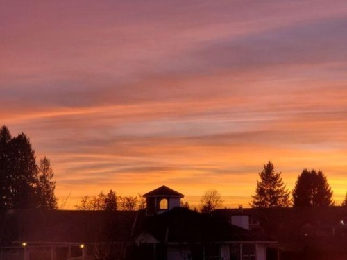 12-20554 118 Avenue  Maple Ridge, BC V2X 0S3