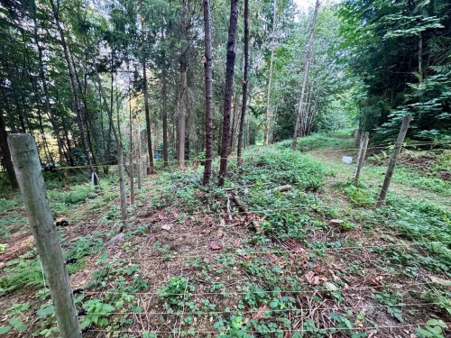 10160 Rolley Crescent, Maple Ridge, BC 