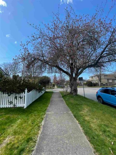 88 48Th Avenue W, Vancouver, BC 