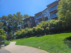 102-300 Salter Street  New Westminster, BC V3M 0L9