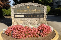 143-19639 Meadow Gardens Way  Pitt Meadows, BC V3Y 2T5