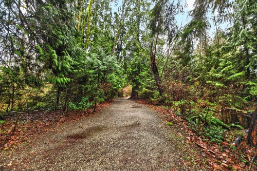 3243 Salt Spring Avenue, Coquitlam, BC 