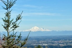 59-55 Hawthorn Drive  Port Moody, BC V3H 0B3