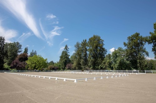 21973 132 Avenue, Maple Ridge, BC 