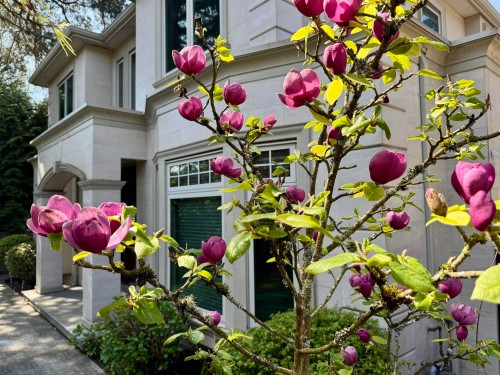 7165 Maple Street, Vancouver, BC 