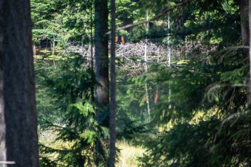 360 Salal Road, Bowen Island, BC 