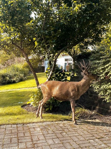 23-3405 Plateau Boulevard, Coquitlam, BC 