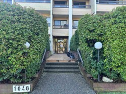 107-1048 King Albert Avenue  Coquitlam, BC V3J 1X5