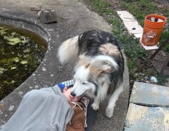 12211 Barnes Drive  Richmond, BC V6V 1H7