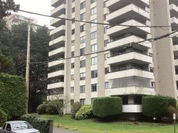 804-7171 Beresford Street  Burnaby, BC V5E 3Z8