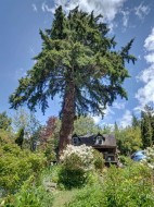 2602 Lower Road  Roberts Creek, BC V0N 2W4