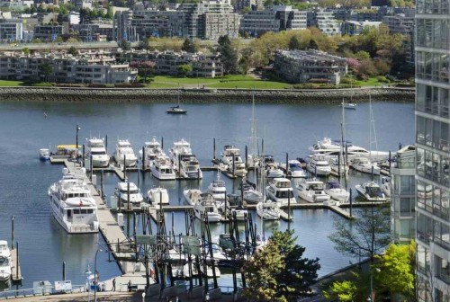 1508-189 Davie Street  Vancouver, BC V6Z 2X9