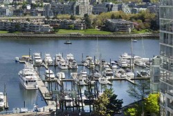 1508-189 Davie Street  Vancouver, BC V6Z 2X9