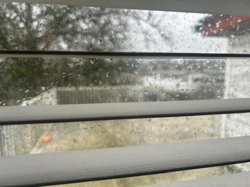 4542 Joyce Street, Vancouver, BC 