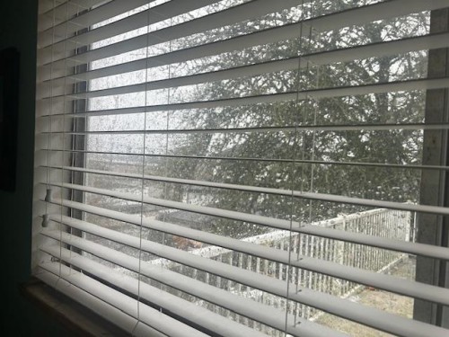 4542 Joyce Street, Vancouver, BC 