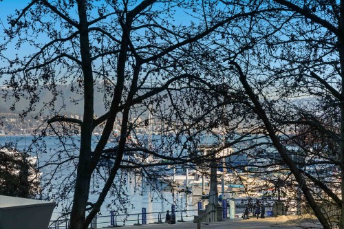 493 Broughton Street, Vancouver, BC 