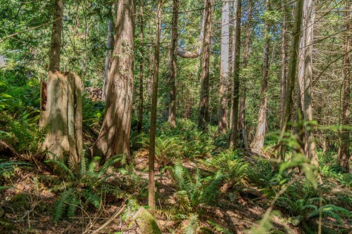 12882 Stone Road, Pender Harbour, BC 