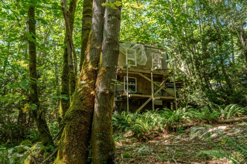 12882 Stone Road, Pender Harbour, BC 