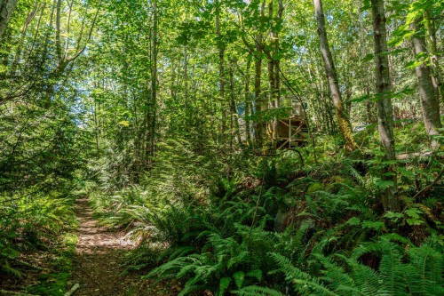 12882 Stone Road, Pender Harbour, BC 