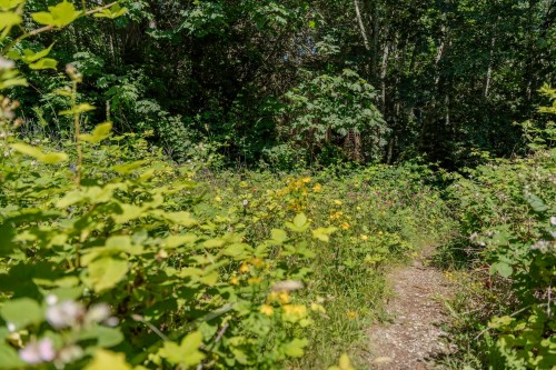 12882 Stone Road, Pender Harbour, BC 