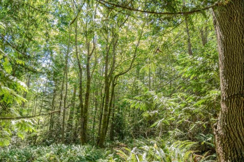 12882 Stone Road, Pender Harbour, BC 