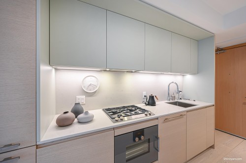 1009-1289 Hornby Street, Vancouver, BC 