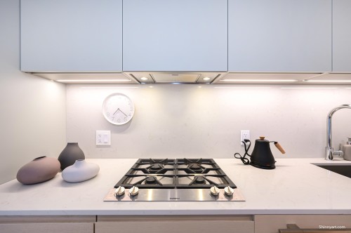 1009-1289 Hornby Street, Vancouver, BC 