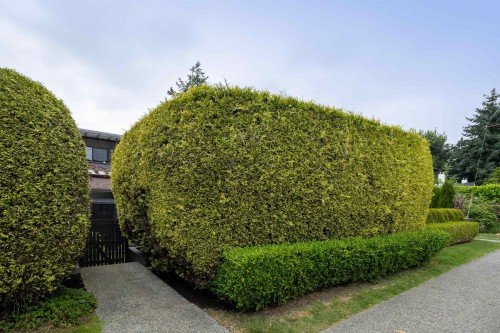 1915 Chesterfield Avenue, North Vancouver, BC 