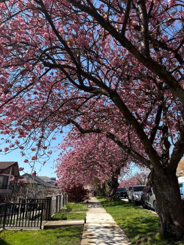 2972 7Th Avenue E, Vancouver, BC 